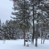 foto 42 - 02.01.2020